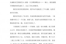 内江旅游感想(张家界旅游感想)