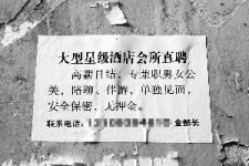 内江珠海伴游雇用网(珠海游览社雇用信息)