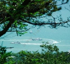内江中国伴游网与你分享旅游的点滴(中国伴游网与你分享旅游的点滴是什么)