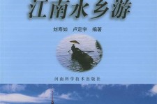 内江旅游热线(西安旅游热线)