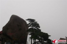 内江上海伴游私家陪游雇用女模(上海伴游私家陪游雇用女模特)