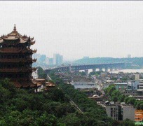 内江武汉游玩攻略(武汉游玩攻略ppt)