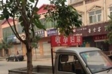 内江上海伴游 用伴游造句大全(5