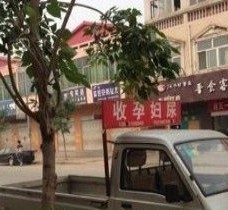 内江上海伴游 用伴游造句大全(5