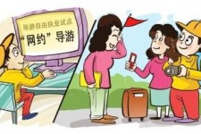 内江伴游是什么