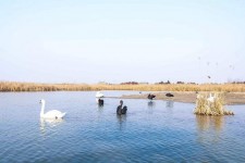 内江南昌附近伴游小妹兼职(1534939978姐的微信德惠市)