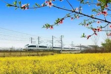 内江高铁游(高铁游戏下载手机版)