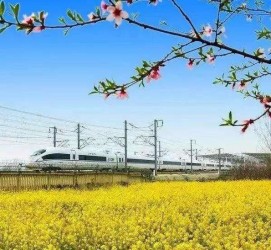 内江高铁游(高铁游戏下载手机版)