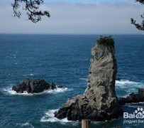 内江旅游全攻略(上海旅游全攻略)