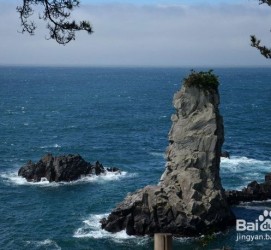内江旅游全攻略(上海旅游全攻略)