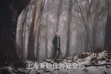 内江上海私人伴游 上海伴游，上海兼职伴游安全吗