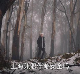 内江上海私人伴游 上海伴游，上海兼职伴游安全吗