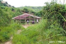 内江北海伴游兼职雇用信息(北海伴游兼职雇用信息大全)