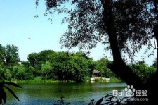 内江西湖旅游攻略(上海到杭州西湖旅游攻略)