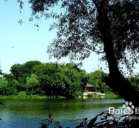 内江西湖旅游攻略(上海到杭州西湖旅游攻略)