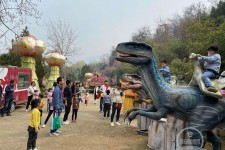 内江中国伴游带你打卡网红南山竹海(南山竹海网上预约)