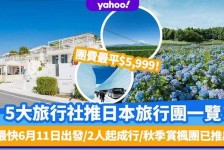 内江旅游价格(旅游价格机制)