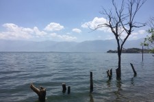 内江洱海旅游攻略(洱海旅游攻略自由行)