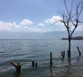 内江洱海旅游攻略(洱海旅游攻略自由行)