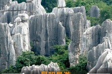 内江贵阳市游览社英语伴游雇用(贵阳市前十名游览社是哪几家)