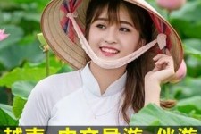 内江日本关东伴游中国(日本关西旅行)