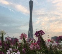 内江广州旅游攻略(杭州到广州旅游攻略)