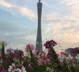 内江广州旅游攻略(杭州到广州旅游攻略)
