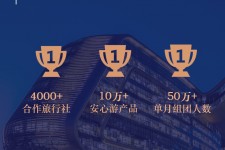 内江上海私人伴游 ​ “小而美”的新时代：2020年国内新跟团消费报告