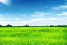 内江上海伴游 上海模特伴游微信号的交友宣言
