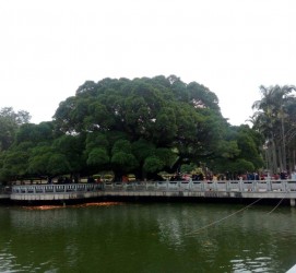 内江福州旅游攻略(福州旅游攻略二日游)