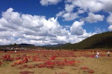 内江旅游去处(暑期最好的旅游去处)