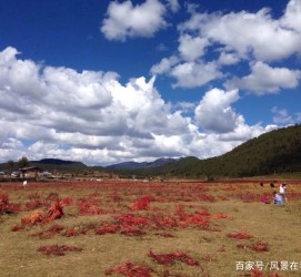 内江旅游去处(暑期最好的旅游去处)