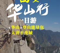 内江一日游(一日游需要准备些什么东西?)